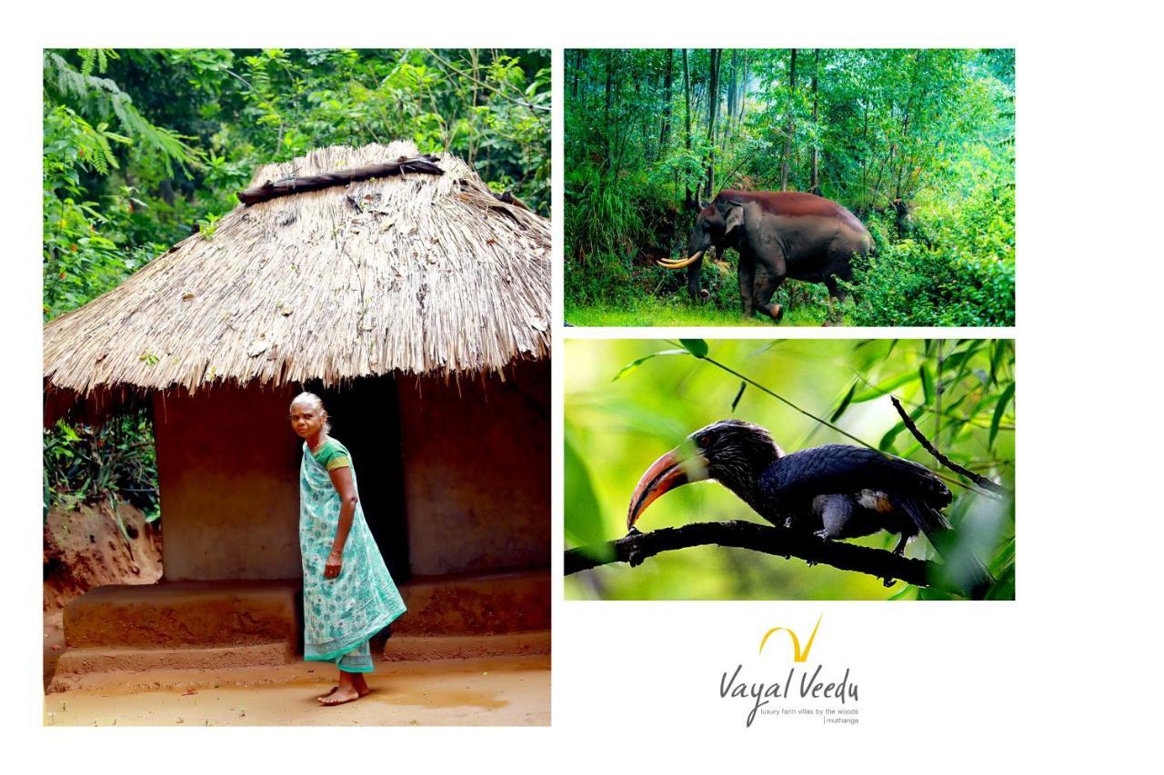 Vayal Veedu - Luxury Farm Villas By The Woods Muthanga ภายนอก รูปภาพ
