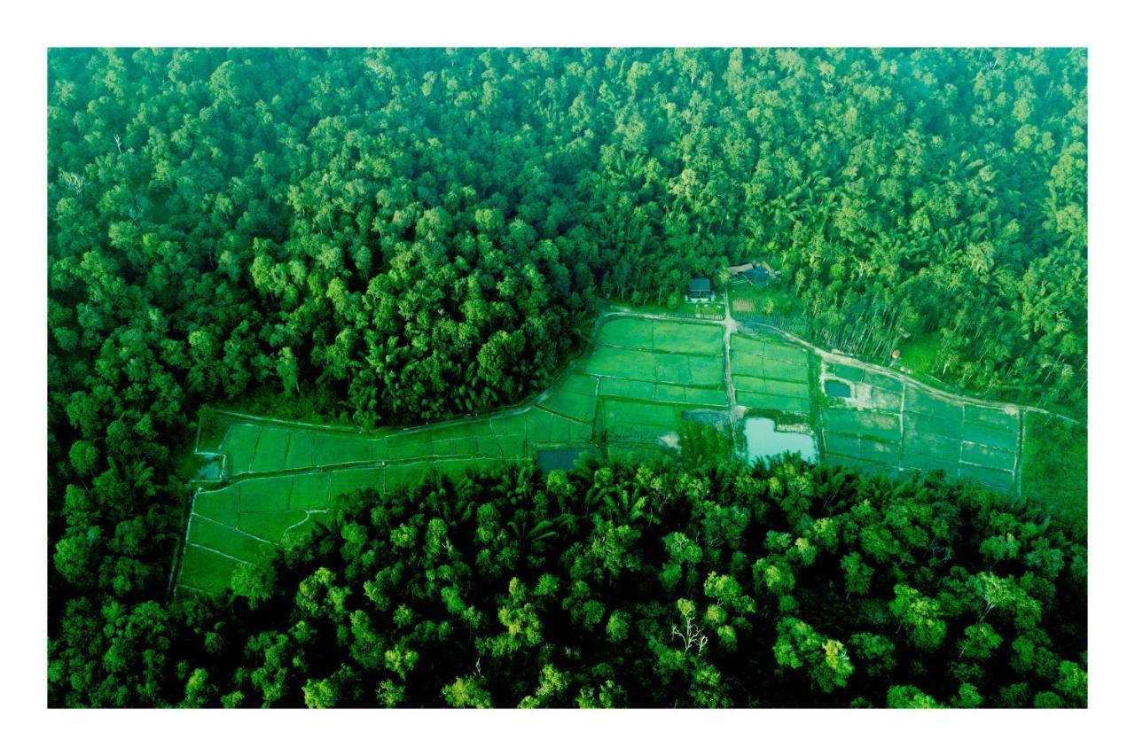 Vayal Veedu - Luxury Farm Villas By The Woods Muthanga ภายนอก รูปภาพ