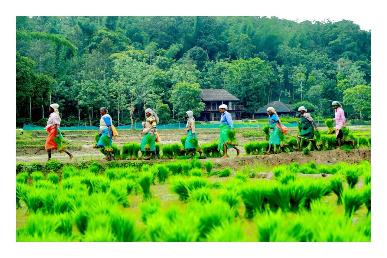 Vayal Veedu - Luxury Farm Villas By The Woods Muthanga ภายนอก รูปภาพ