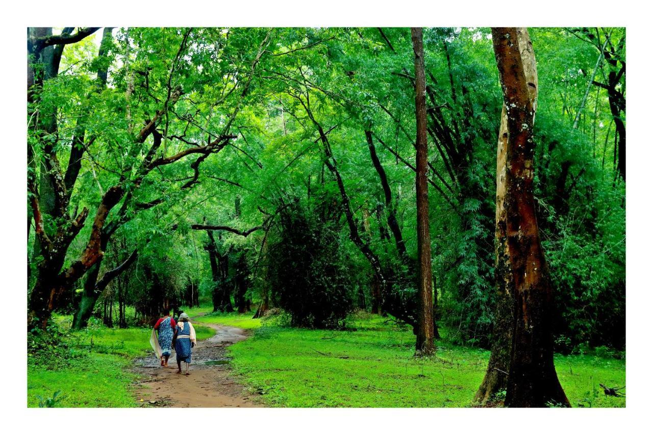 Vayal Veedu - Luxury Farm Villas By The Woods Muthanga ภายนอก รูปภาพ